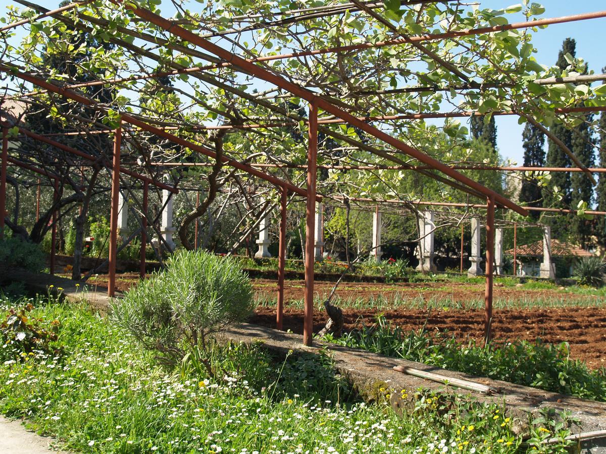 Villa Castrum Rovinj Eksteriør bilde